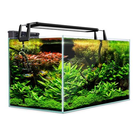Glass Tank / Aquarium .
